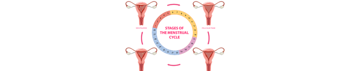 Know Your Cycle: How Hormones Impact Your Period