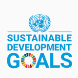 Meeting United Nations' Sustainable Development Goals