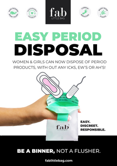 Easy Period Disposal Cubicle Poster