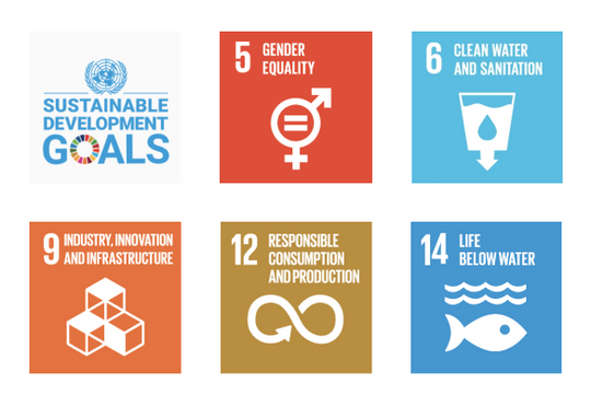 Meeting United Nations' Sustainable Development Goals: